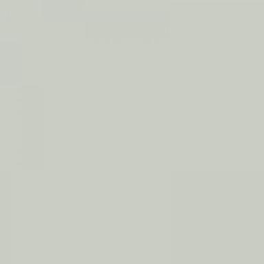 369 DACIA BLANC GLACIER VERNI