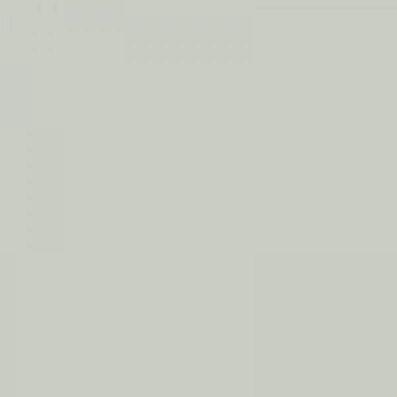 Λευκό Χρώμα αυτοκινήτου 369-DACIA