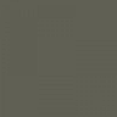 C67 DACIA GRIS OLIVE 