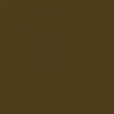 DNW DACIA VERT AMAZONIE 