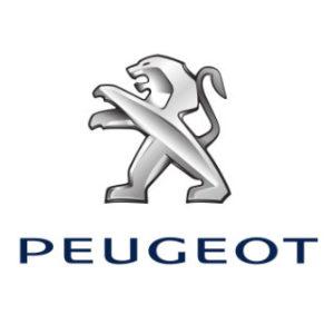 https://stage.paintfix.gr/pub/media/catalog/product/p/e/peugeot_logo.jpg_1_image