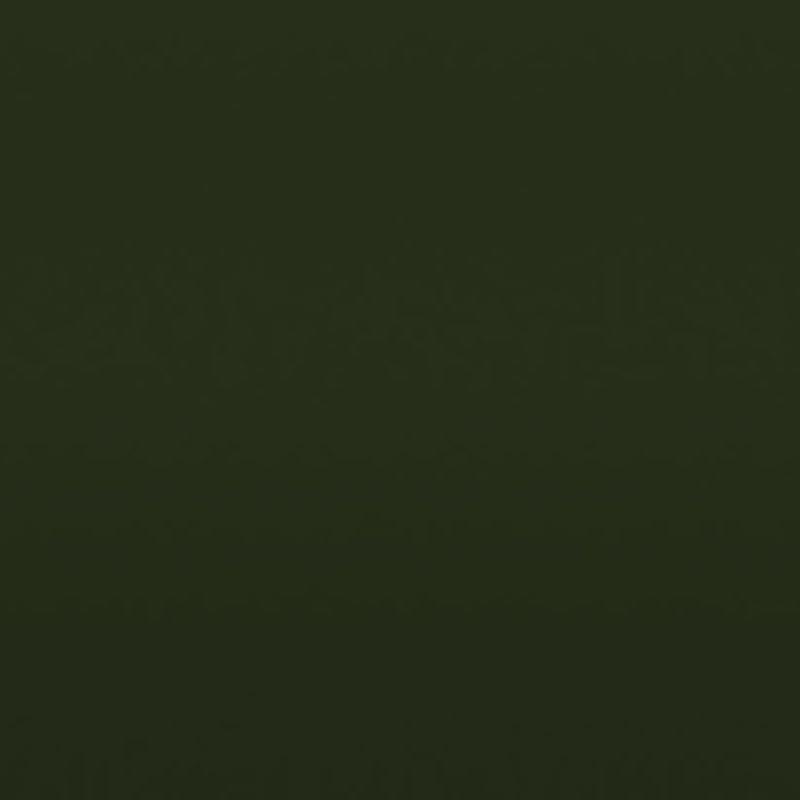 Ral 6007 Flaschengruen