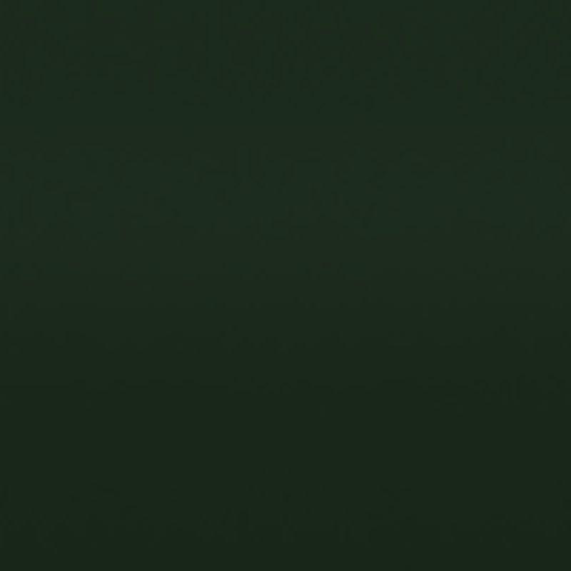 Ral 6009 Tannengruen