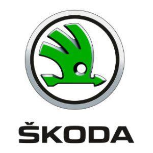 https://stage.paintfix.gr/pub/media/catalog/product/s/k/skoda_logo_6.jpg_1_image